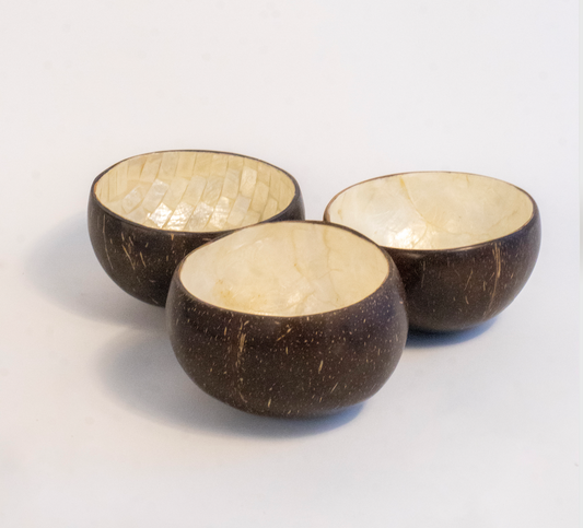 Bowl Kelapa